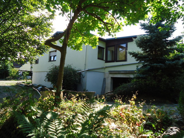 Immobilienmakler Dresden